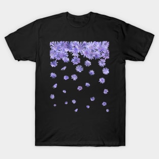 Purple Chicory Flowers Rain T-Shirt